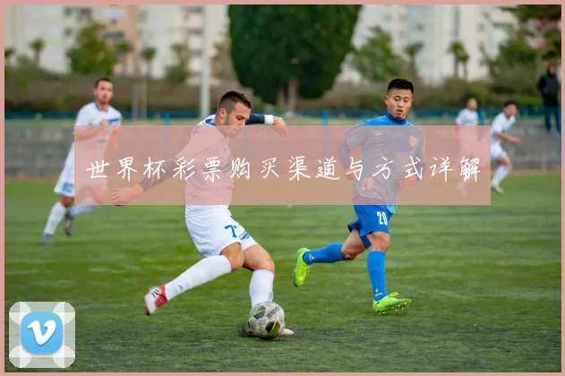 世界杯彩票购买渠道与方式详解