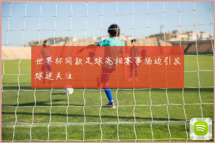 世界杯同款足球亮相赛事场边引发球迷关注