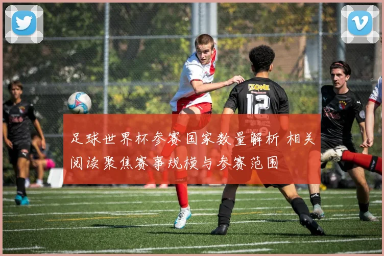 足球世界杯参赛国家数量解析 相关阅读聚焦赛事规模与参赛范围